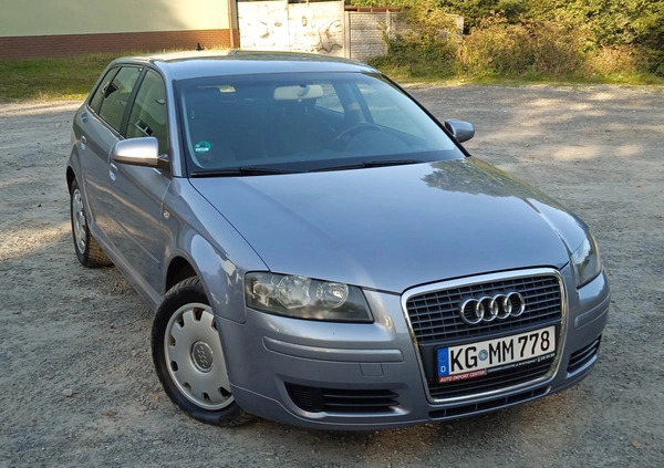 Audi A3 cena 19800 przebieg: 205000, rok produkcji 2005 z Stopnica małe 436